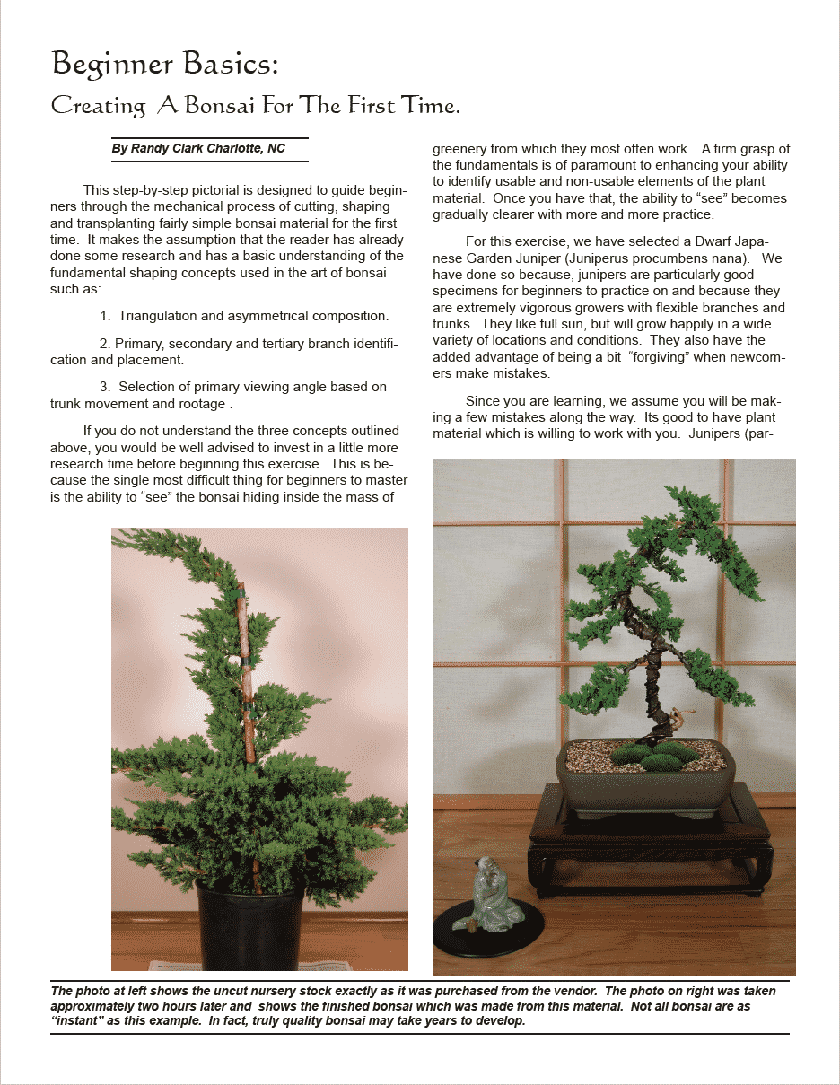 Bonsai techniques 1 pdf