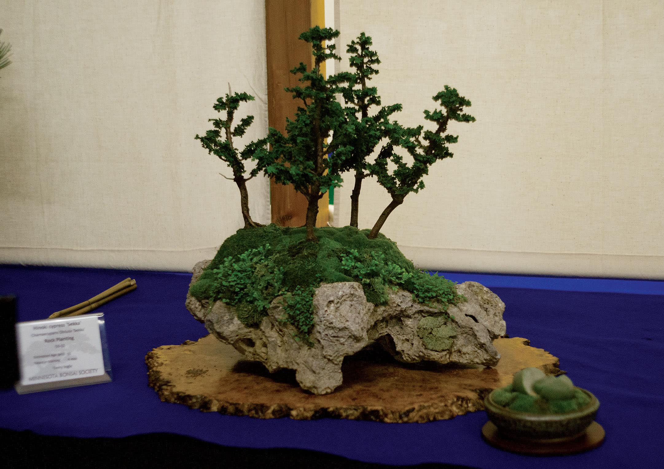 Sekka Hinoki Cypress