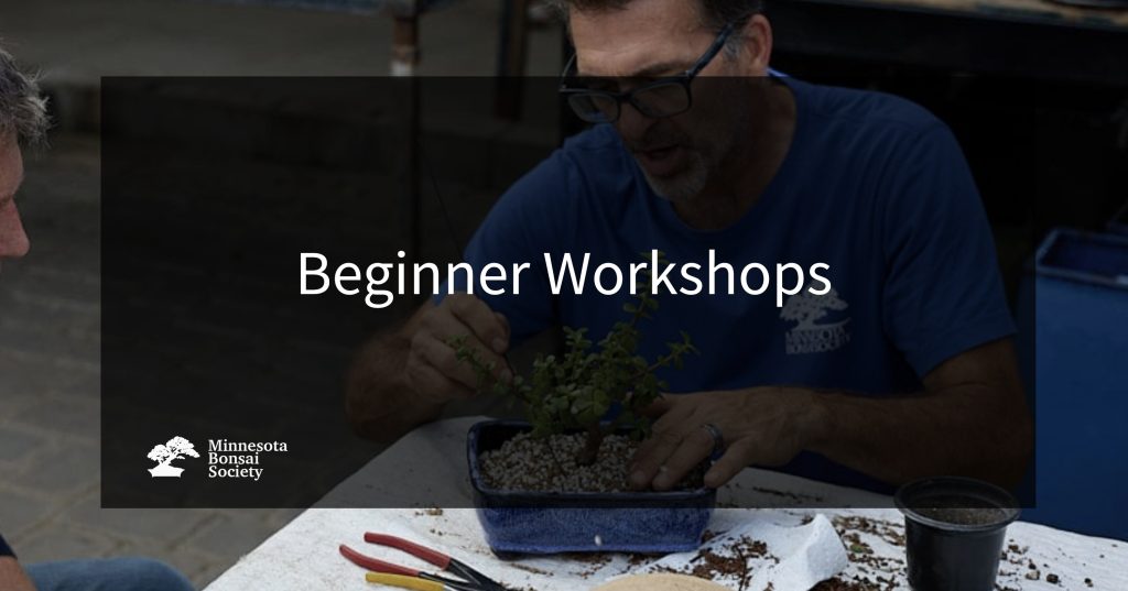 Beginner - Intro to Bonsai Workshops | Minnesota Bonsai Society
