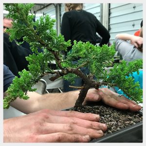 Juniper Beginner Workshop: April 25 Morning