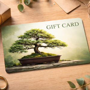 Beginner Workshop Gift Certificate