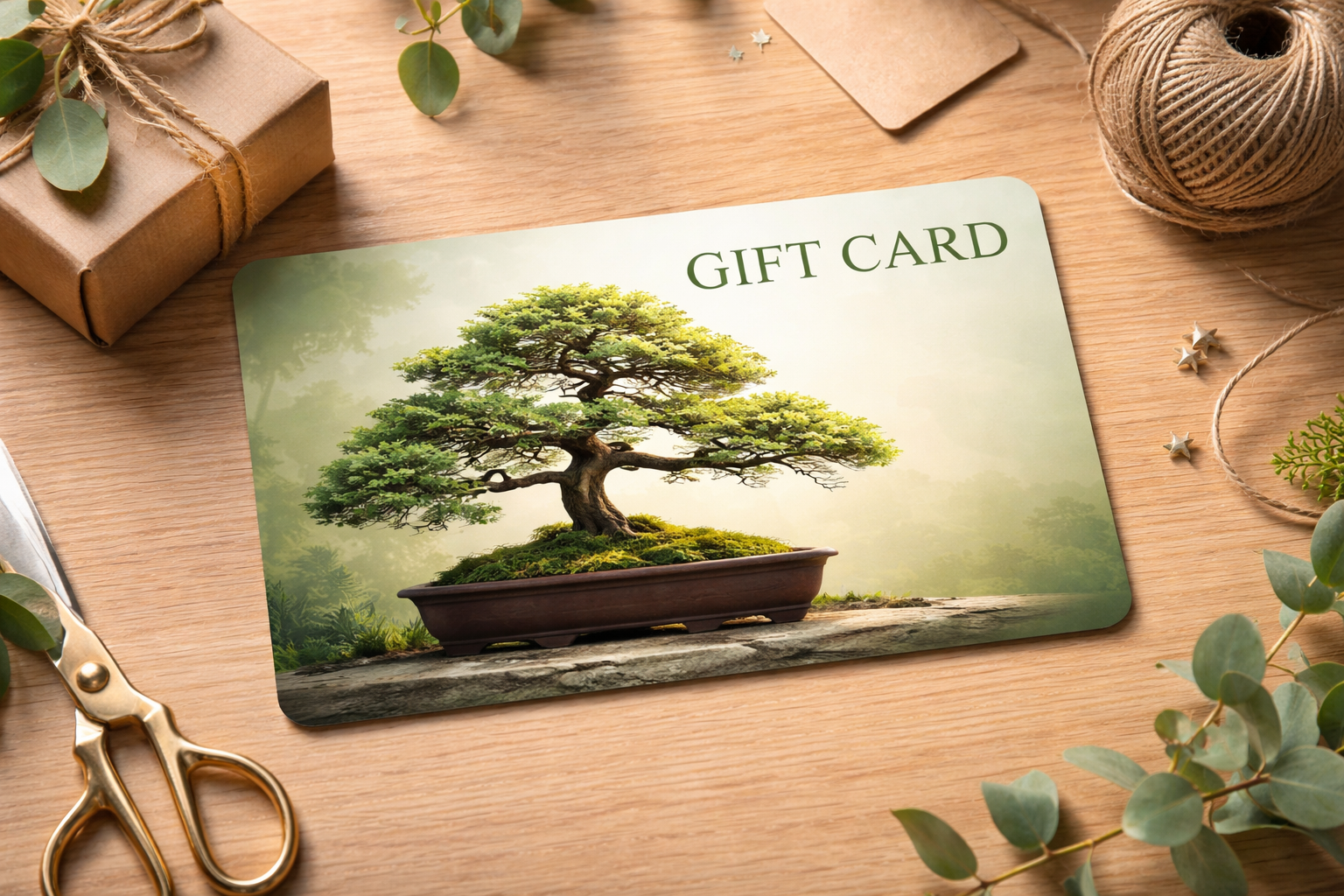 Beginner Workshop Gift Certificate